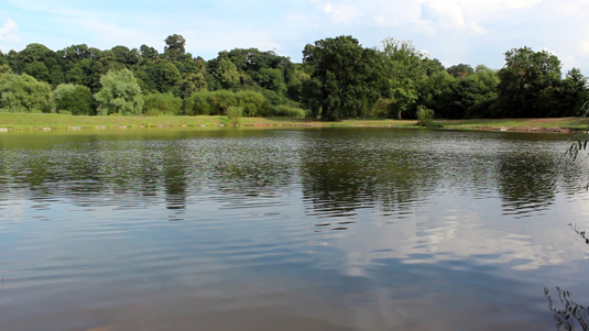 arena-lake